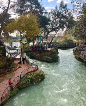 Tarsus